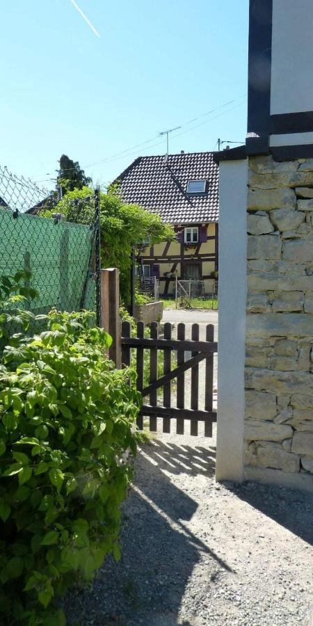 Gite Les Sabots De Paille, Alsace Haut-Rhin Ballesdorf Esterno foto